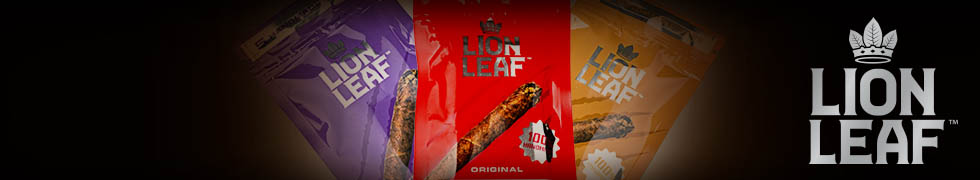 Lion Leaf